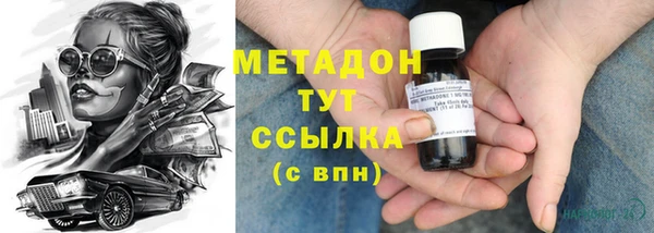шишки Абаза