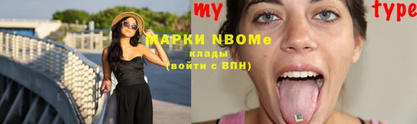 шишки Абаза