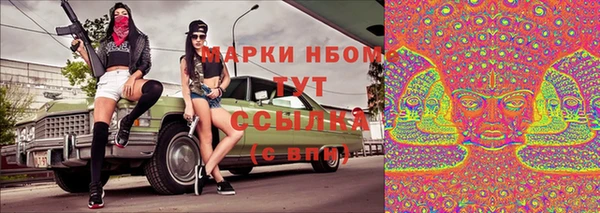 шишки Абаза