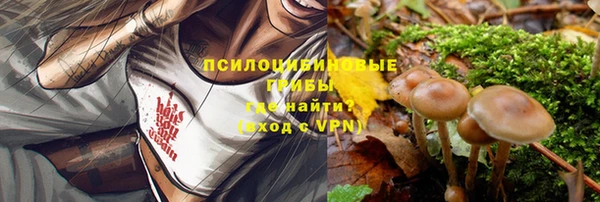 шишки Абаза