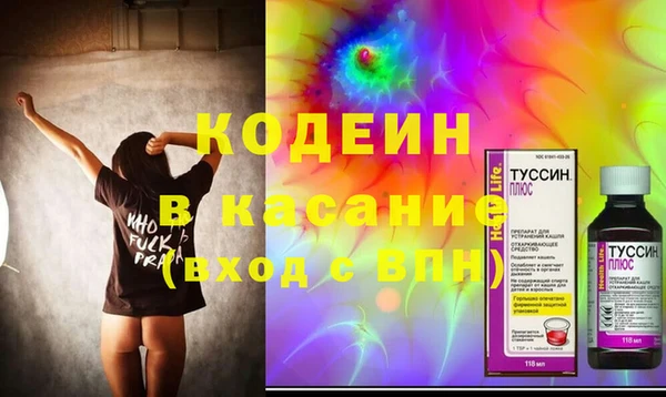шишки Абаза