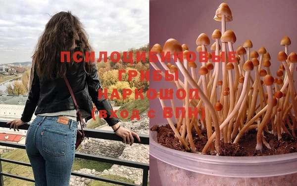 прущая мука Абинск